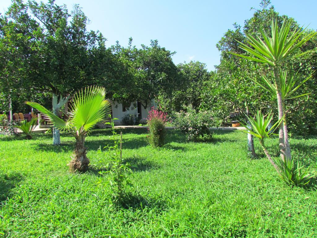 Safir Pansiyon Çıralı Exterior foto