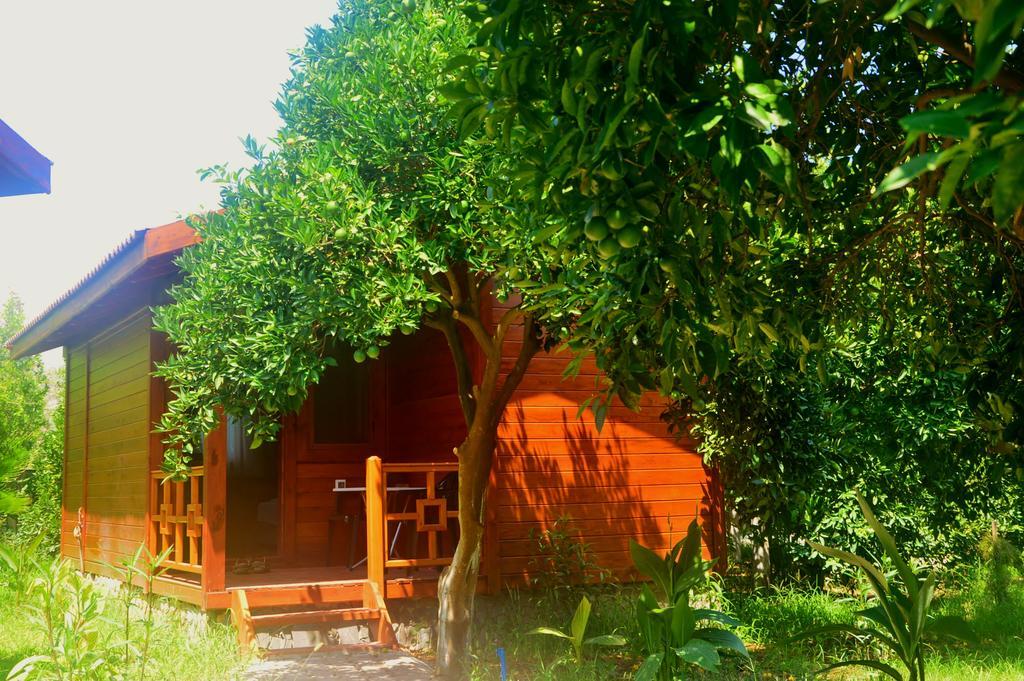 Safir Pansiyon Çıralı Exterior foto