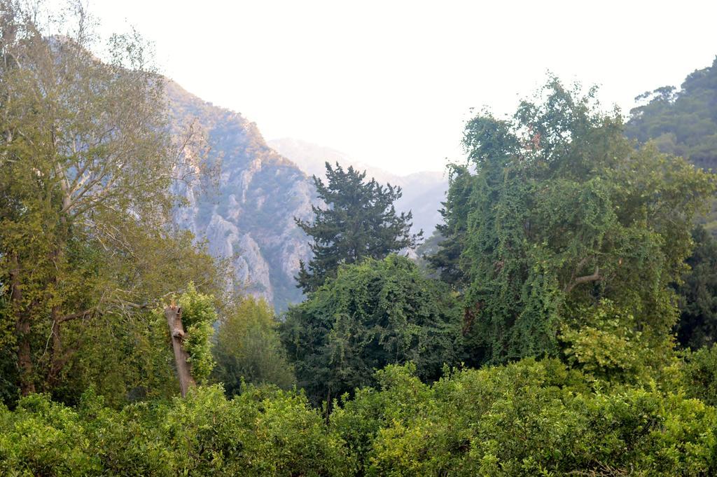 Safir Pansiyon Çıralı Exterior foto